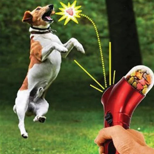 Pet Feeder