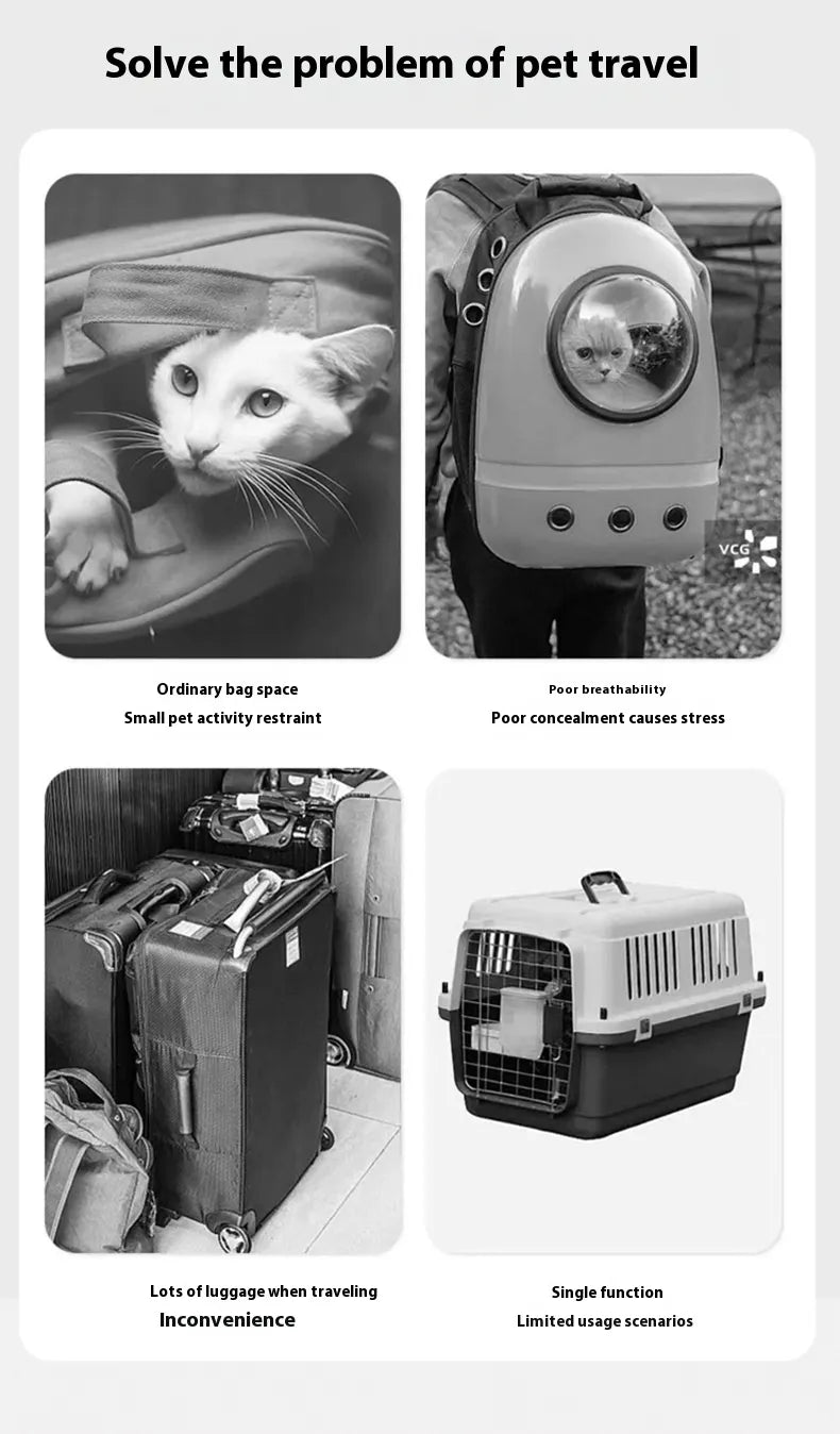 Pet Carry Bag